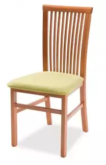 Masivní čalouněná buková židle Andula