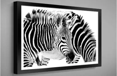 Moderní nástěnný obraz s motivy zvířat ve velikosti 60x40
