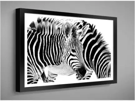 Moderní nástěnný obraz s motivy zvířat ve velikosti 60x40