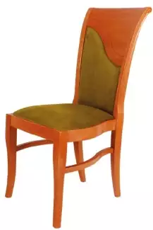 Jídelní čalouněná židle Martin Z011