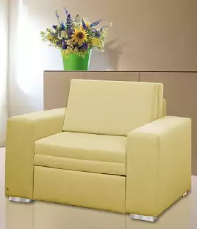 Rozkládací křeslo pro hosty s úložným prostorem Ben