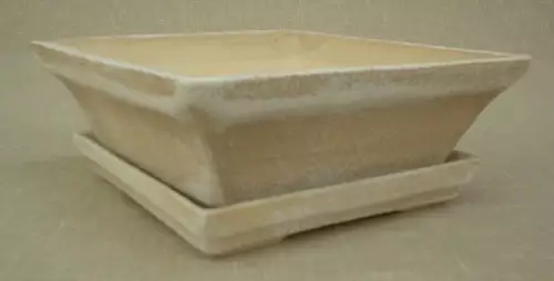 Originální Bonsai čtyřhran v různých rozměrech