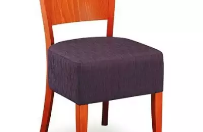 Ergonomická jídelní židle Martina 062313