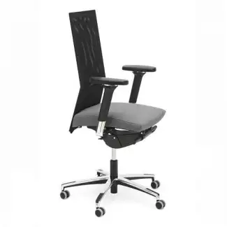 Kancelářská židle s přestavitelnými područkami Florian I.