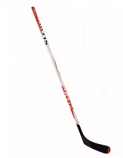 Hokejka pro aktivní hokejisty AH 501 Flex 100 L-19