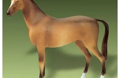 Hnědá porcelánová figura o délce 19 cm Jezdecký kůň