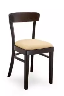 Jídelní židle - tmavě hnědá s polstrovaným sedákem Hela 502313