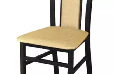 Jídelní židle Lumír s polstrováním