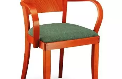 Jídelní židle s područkami Martina 362323 