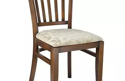 Jídelní židle v odstínu tmavý ořech William 107313