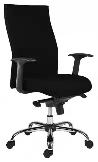 Kvalitní ergonomická židle Xanadu