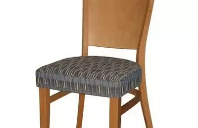 Masivní jídelní židle s výškou sedu 50 cm Jan 063313