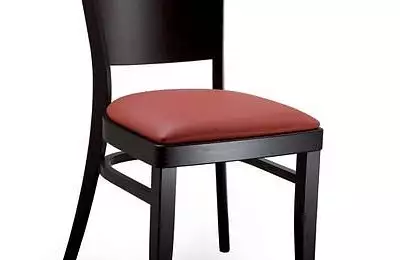 Masivní židle - wenge + čalouněný sedák Jan 763313