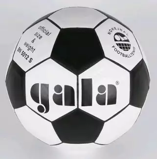 Nohejbalový míč pro všechny druhy povrchů 5012
