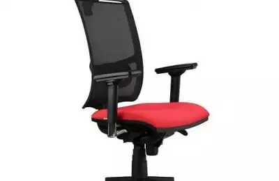 Otočná kancelářská židle Šárka šéf síť