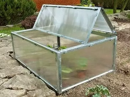 Pařeniště pro jarní rychlení zeleniny SP 5