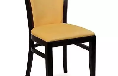 Polstrovaná jídelní židle klasického tvaru Veronika 438313