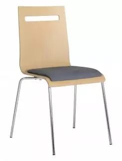 Konferenční židle s pevnou skořepinou a čalouněným sedákem Elsa