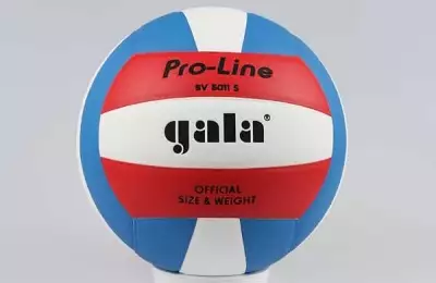 Profesionální volejbalový míč Gala PRO LINE 5011 S