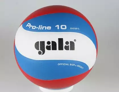 Profesionální volejbalový míč Gala PRO LINE 5581 S s inovovaným povrchovým materiálem