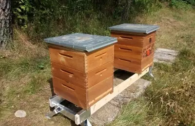 Stojan pod včelí úly