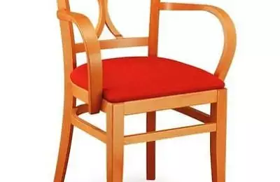 Tvarovaná jídelní židle s područkami Lucie 118323