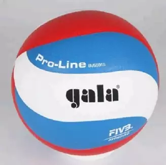 Volejbalový míč pro profesionály Official Profi 5591 S