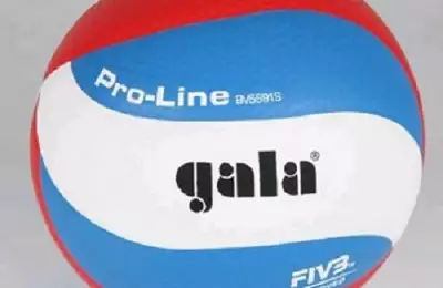 Volejbalový míč pro profesionály Official Profi 5591 S