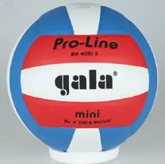 Volejbalový míč pro žákovské kategorie  Pro Line 4051 S