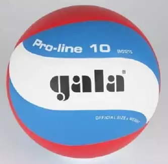 Volejbalový míč pro profesionály Pro Line 5121S