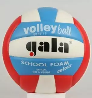 Volejbalový míč vhodný do škol School 5511 S