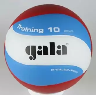 Volejbalový míč vhodný na tréninky Training 5561 S