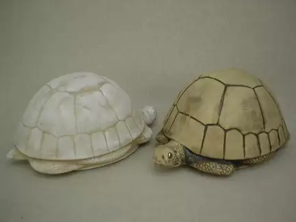 Velká keramická želva