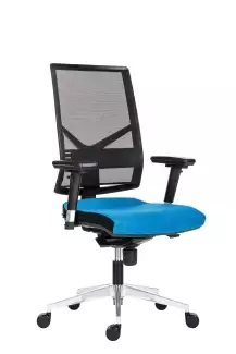 Moderní síťovaná kancelářská židle širokého užití Miroslava ALU