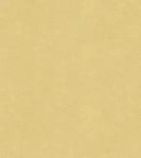 Moderní microplyšová látka různých barev Ali