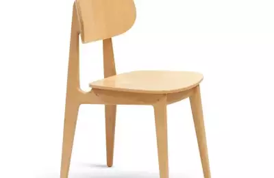 Moderní jídelní židle z masivu Buna