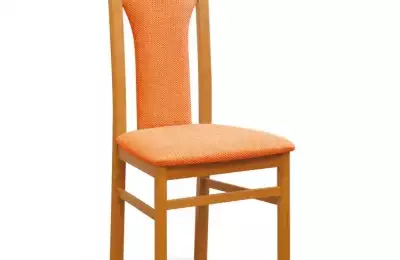 Klasická jídelní židle s čalouněným opěrákem Era