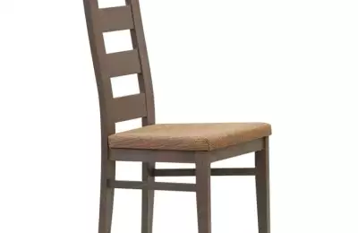 Moderní a robustní jídelní židle František