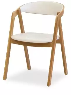Masivní židle s čalouněným podsedákem a opěrkou  Gregor