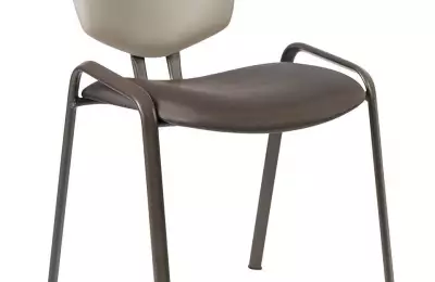 Čalouněná jednací židle s osobitým designem s mnoha barvami Isabela