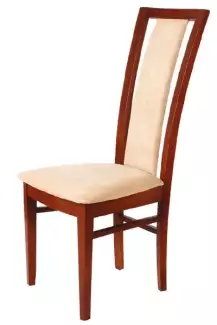 Jídelní čalouněná židle Nela Z016