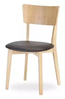 Kvalitní židle s čalouněným podsedákem Timmy